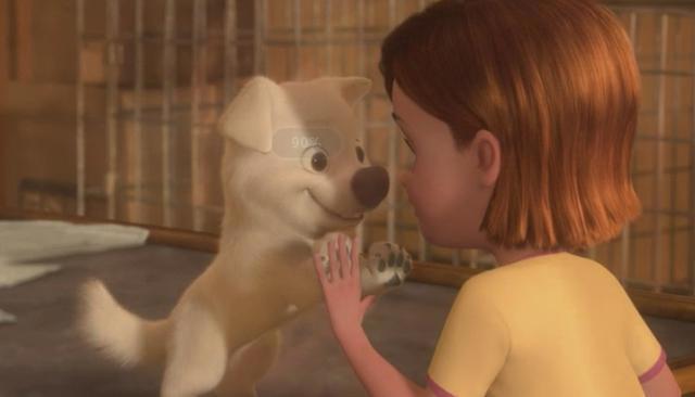 《闪电狗》眼睛会骗人，但是真实的情感不会！