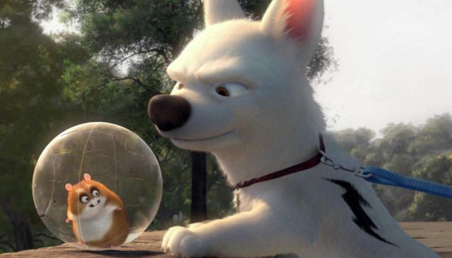 《闪电狗》眼睛会骗人，但是真实的情感不会！