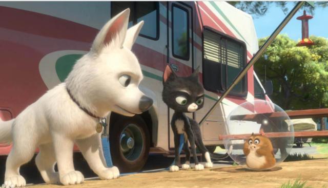 《闪电狗》眼睛会骗人，但是真实的情感不会！