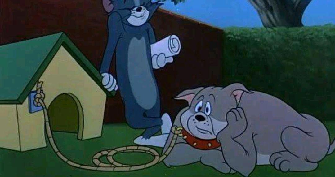 动漫里出名狗狗大盘点，你是不是知道的不止这些？