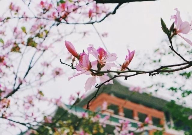 值得收藏！30本适合阅读的好书！（内含福利）