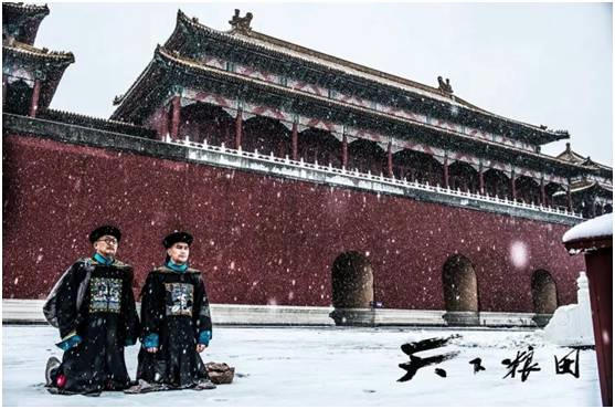 昨晚CCTV1黄金档亮了！《天下粮田》来了