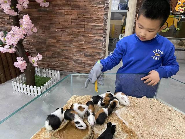 杭州萧山首家室内沉浸式萌宠互动乐园开园！近千只网红萌宠等你来撸
