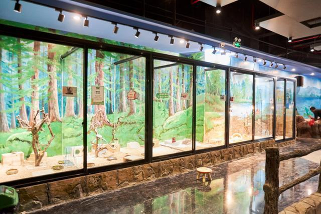 杭州萧山首家室内沉浸式萌宠互动乐园开园！近千只网红萌宠等你来撸