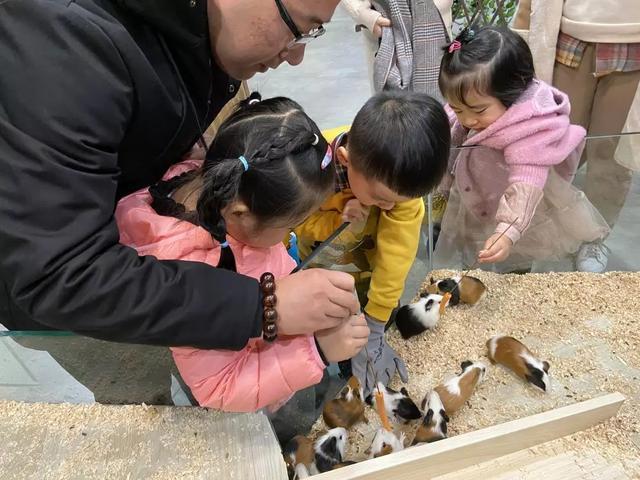杭州萧山首家室内沉浸式萌宠互动乐园开园！近千只网红萌宠等你来撸