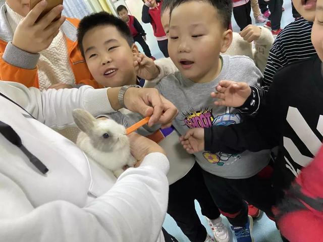 杭州萧山首家室内沉浸式萌宠互动乐园开园！近千只网红萌宠等你来撸