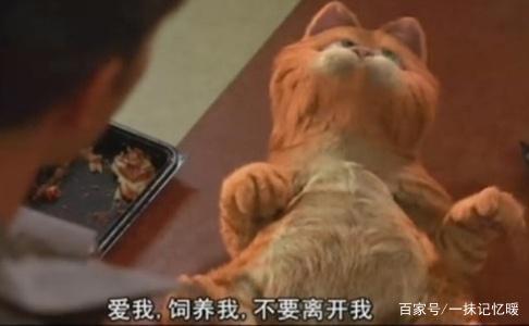 加菲猫电影，一只懒惰贪吃的猫生赢家，赢得了世界影迷的心