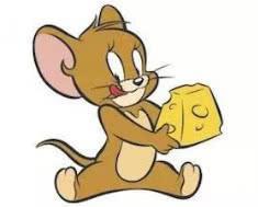 十二星座最想要的鼠星人，金牛座的是毛丝鼠，双鱼座是龙猫