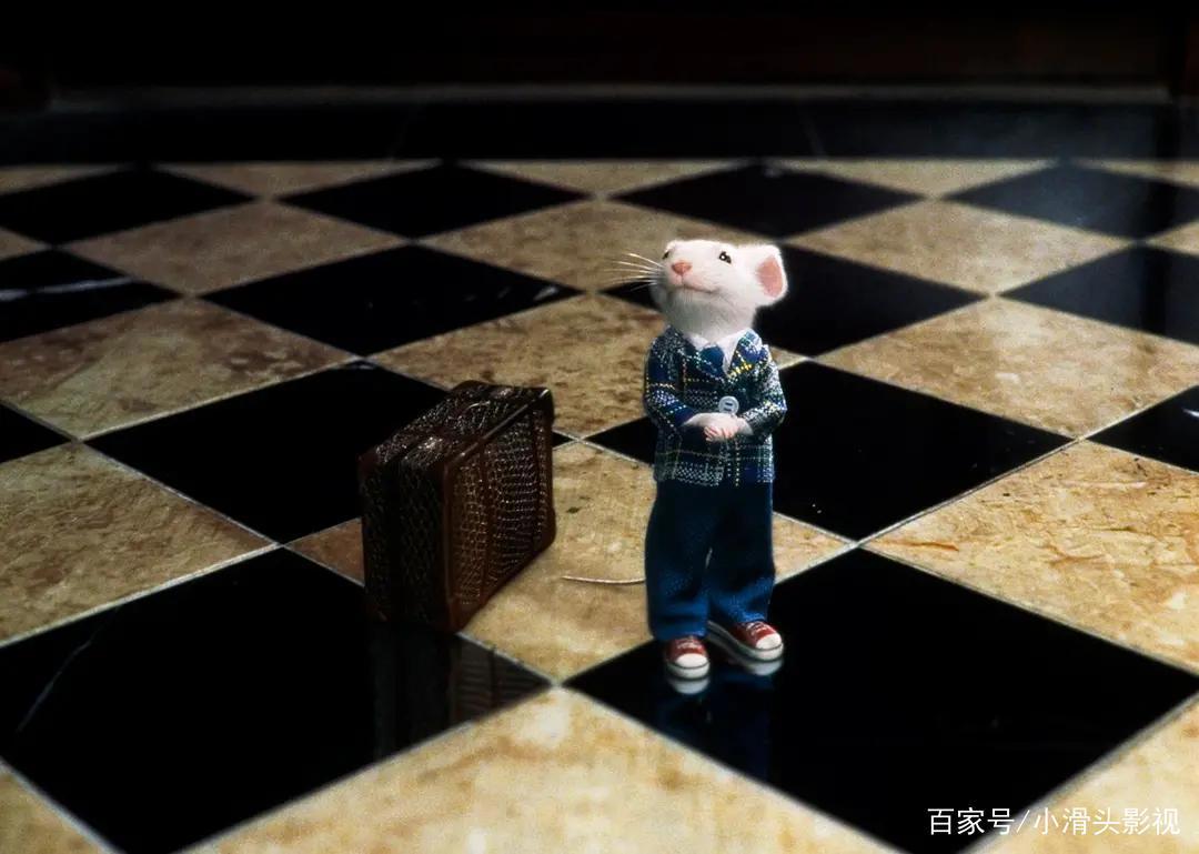 孤单内向的小男孩，古灵精怪的小动物，他们能否成为好朋友？