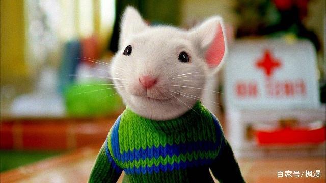 动漫中那些让人愿意捧在手心的老鼠