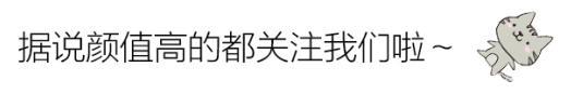 海贼王：霸气侧漏的大佬们说过什么最霸气的话