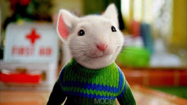 「周报」2018年2月周报第1期（01.29-02.04）