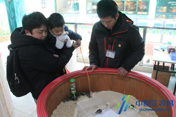 无锡动物园：欢乐双旦季百鼠闹萌宠