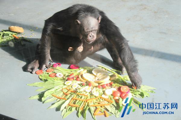 无锡动物园：欢乐双旦季百鼠闹萌宠