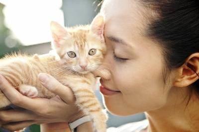 喵咪集结令盘点电影、动画片里治愈系超萌喵星人