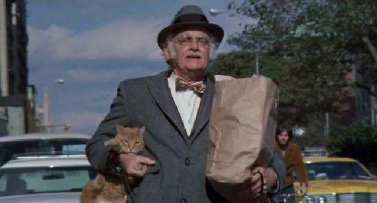 喵咪集结令盘点电影、动画片里治愈系超萌喵星人