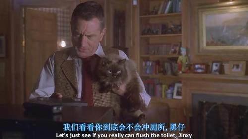 喵咪集结令盘点电影、动画片里治愈系超萌喵星人