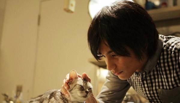 喵咪集结令盘点电影、动画片里治愈系超萌喵星人