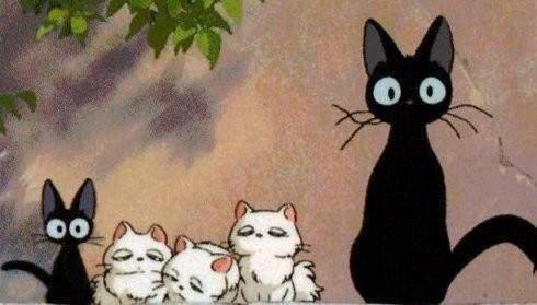 喵咪集结令盘点电影、动画片里治愈系超萌喵星人