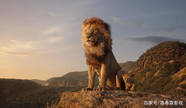 真人《海贼王》即将开拍，真人版《火影忍者》《猫和老鼠》排队中