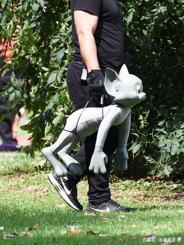 真人《海贼王》即将开拍，真人版《火影忍者》《猫和老鼠》排队中