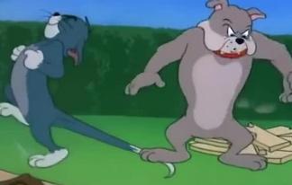 在猫和老鼠中几个情节中没有出现杰瑞，汤姆是整个动漫的笑点担当