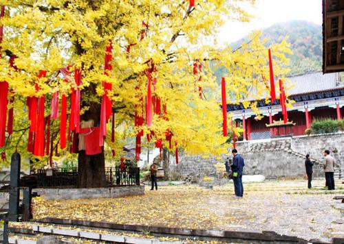 叶罗丽仙境中，真实存在的场景，这也太美了，比动漫中的美多了！