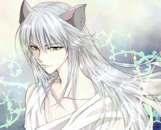 绝非一面！细数日本动漫中的10大经典狐狸形象!