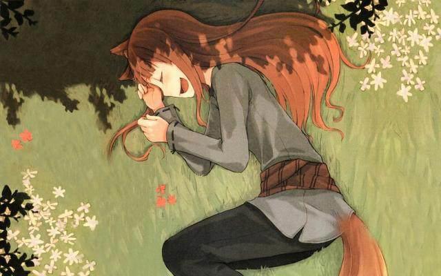 绝非一面！细数日本动漫中的10大经典狐狸形象!