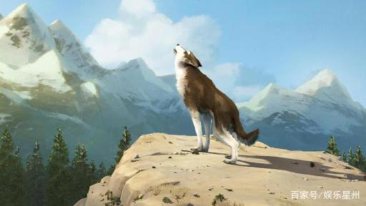 五星评分电影《白牙》