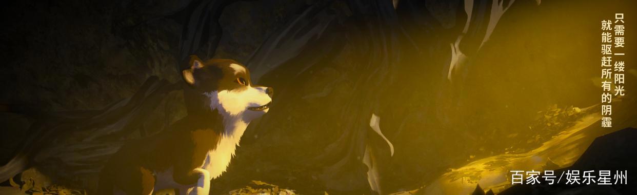 五星评分电影《白牙》