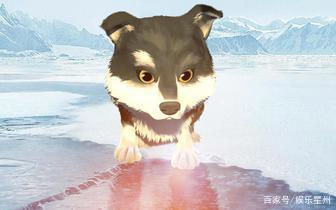 五星评分电影《白牙》