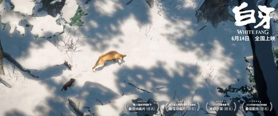 六月催泪弹！这部绝美动画令人回味无穷