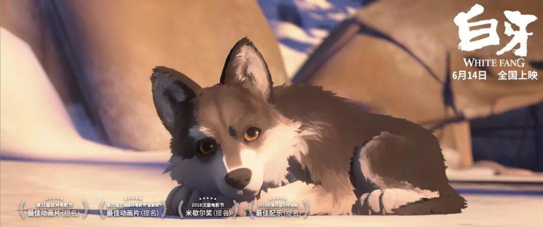 六月催泪弹！这部绝美动画令人回味无穷