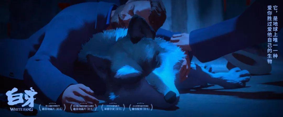 六月催泪弹！这部绝美动画令人回味无穷