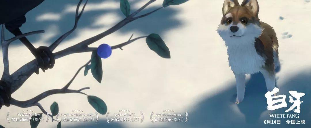 六月催泪弹！这部绝美动画令人回味无穷