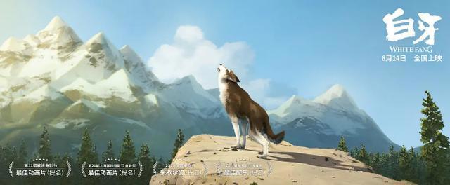 《白牙》：从狼到狗，感染人类的寓意不只是它半生历经磨难的故事