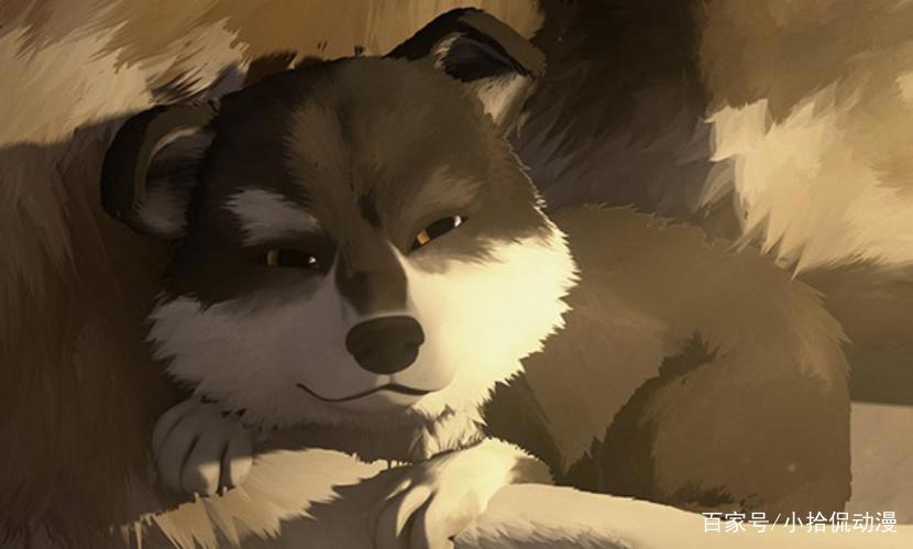 小说改编的动漫《白牙》，人类与狗的故事，你被感动到了吗？