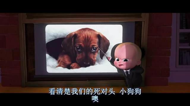《宝贝老板》：萌贱结合，史上最恶意的二胎，没有之一