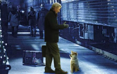 40部猫狗题材的电影、动漫、纪录片等，不信你看过的有10个以上