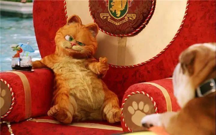 40部猫狗题材的电影、动漫、纪录片等，不信你看过的有10个以上