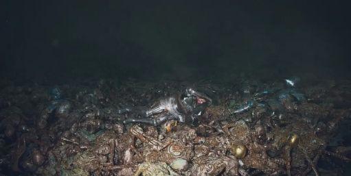 《爱，死亡和机器人》满怀期待的第三季来了！