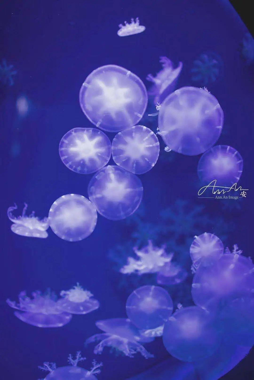 五月遛娃出游指南，真的很实用你可别不信