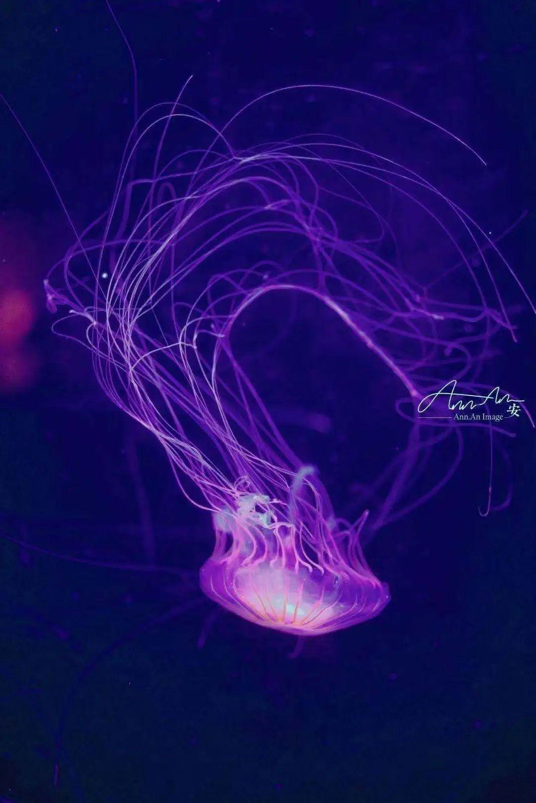 五月遛娃出游指南，真的很实用你可别不信