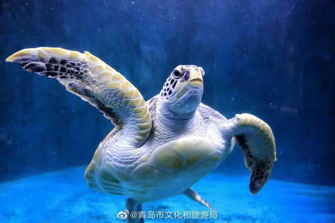 五月遛娃出游指南，真的很实用你可别不信