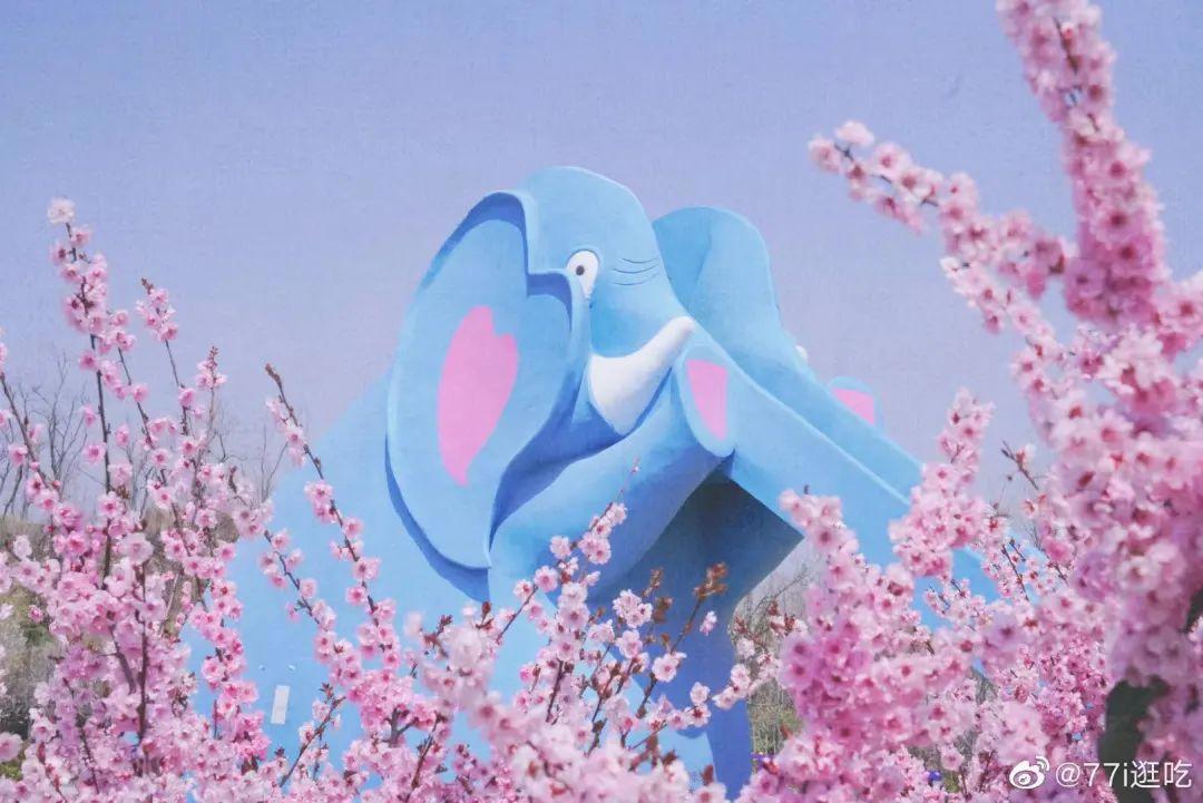 五月遛娃出游指南，真的很实用你可别不信