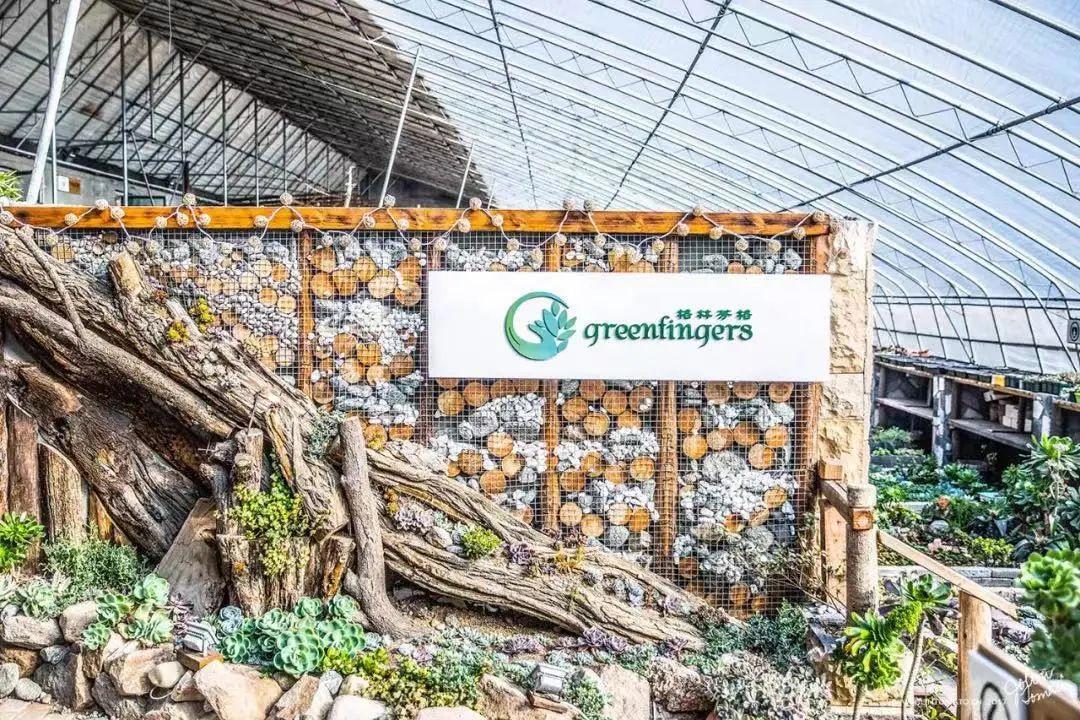 五月遛娃出游指南，真的很实用你可别不信