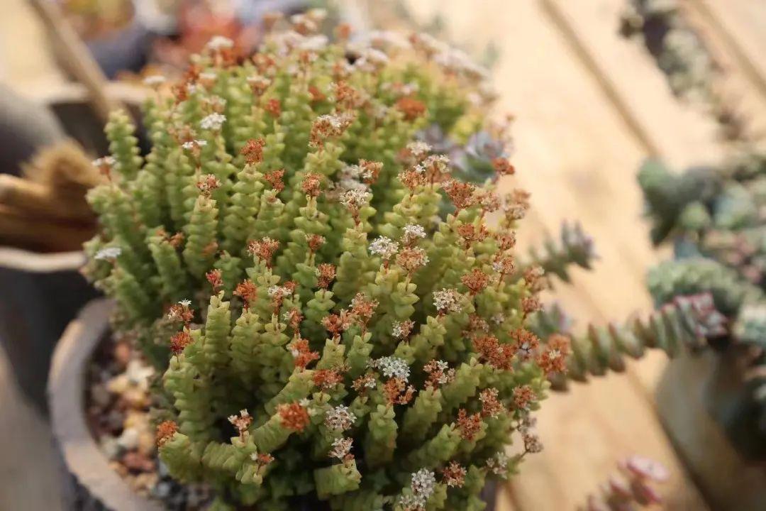 五月遛娃出游指南，真的很实用你可别不信