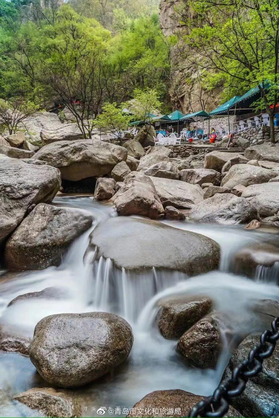 五月遛娃出游指南，真的很实用你可别不信