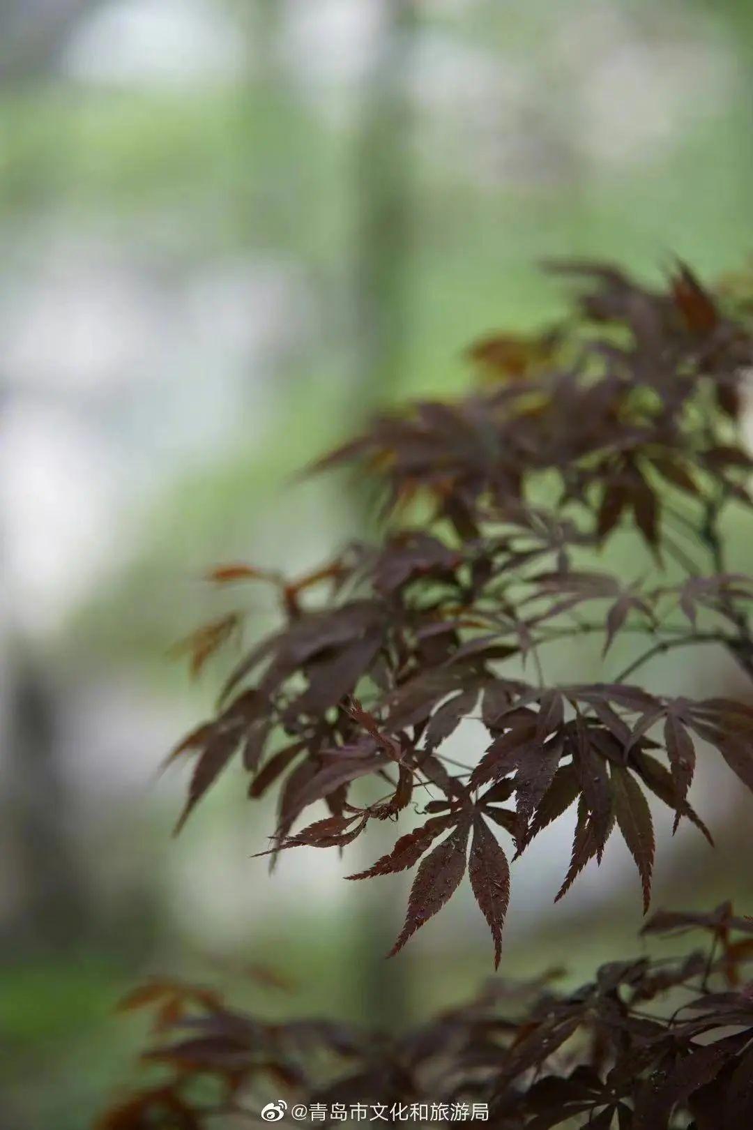 五月遛娃出游指南，真的很实用你可别不信